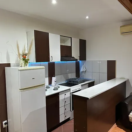 Apartment Stan Na Dan Uzanovic *